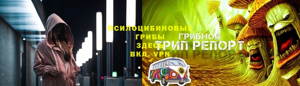 мет Дмитров