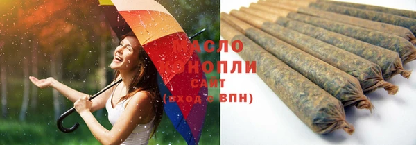 мет Дмитров