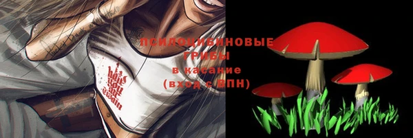 мет Дмитров