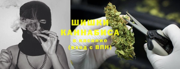 шишки Дмитриев