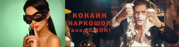 шишки Дмитриев