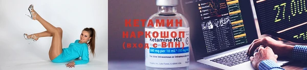 шишки Дмитриев
