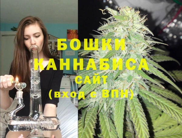 мет Дмитров
