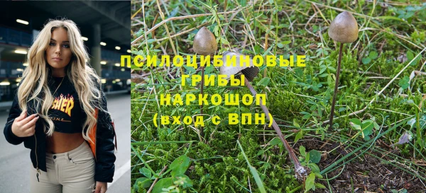винт Дмитровск