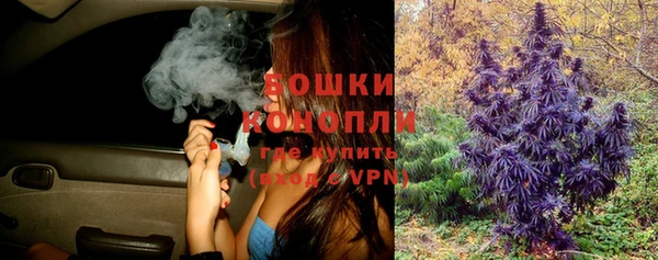 шишки Дмитриев