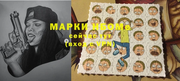 шишки Дмитриев