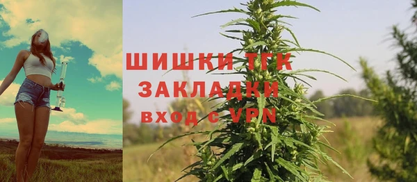 шишки Дмитриев