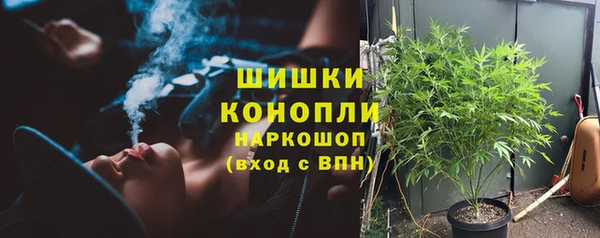 мет Дмитров