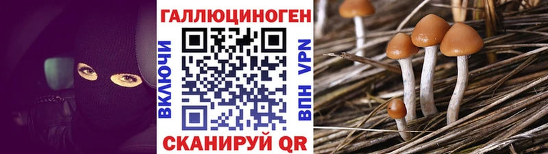 Псилоцибиновые грибы ЛСД  наркота  Серов 