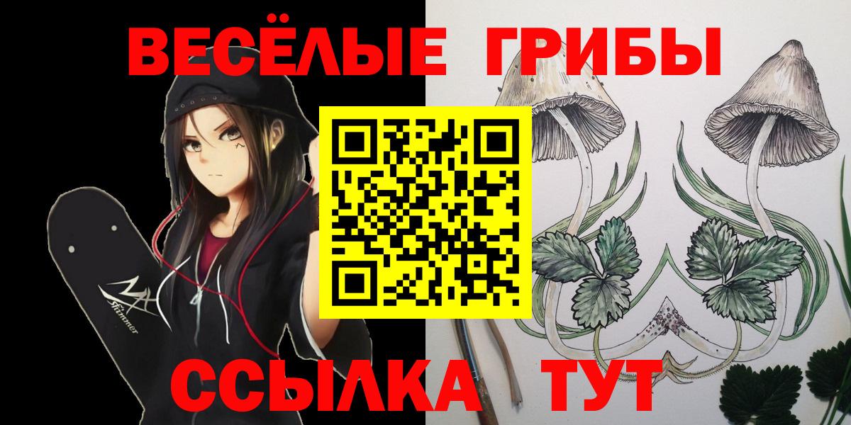Псилоцибиновые грибы MAGIC MUSHROOMS  Псилоцибиновые грибы Psilocybe  Серов  Вход с VPN 