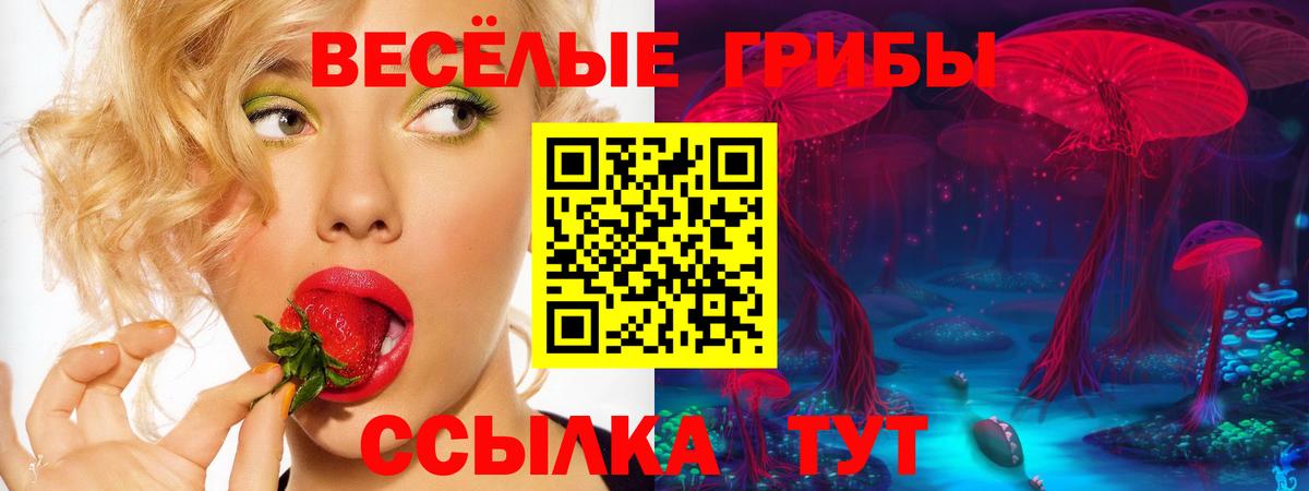 Галлюциногенные грибы Psilocybine cubensis Серов